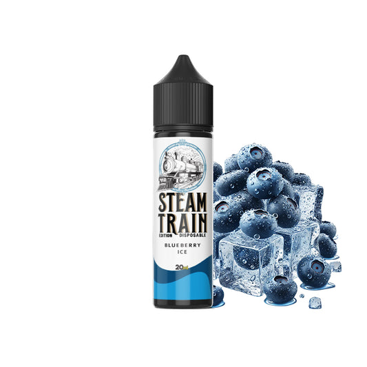 Steam Train – Disposable Edition Blueberry Ice Vape Shot (10 ml & 20 ml)