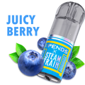 Steam Train Juicy Berry TPOD Pod 2ml – 20mg