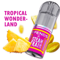 Steam Train Tropical Wonderland TPOD Pod 2ml – 20mg